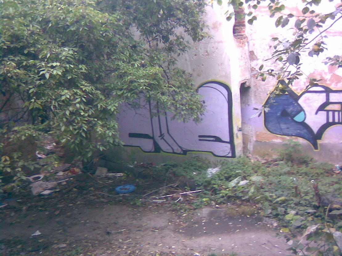 af92773299_54622209_v2